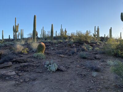 Sunrise on the black rock loop.