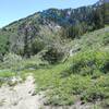 4 miles up take the Left Fork through Bear Canyon until you reach the Trail of the Eagle.