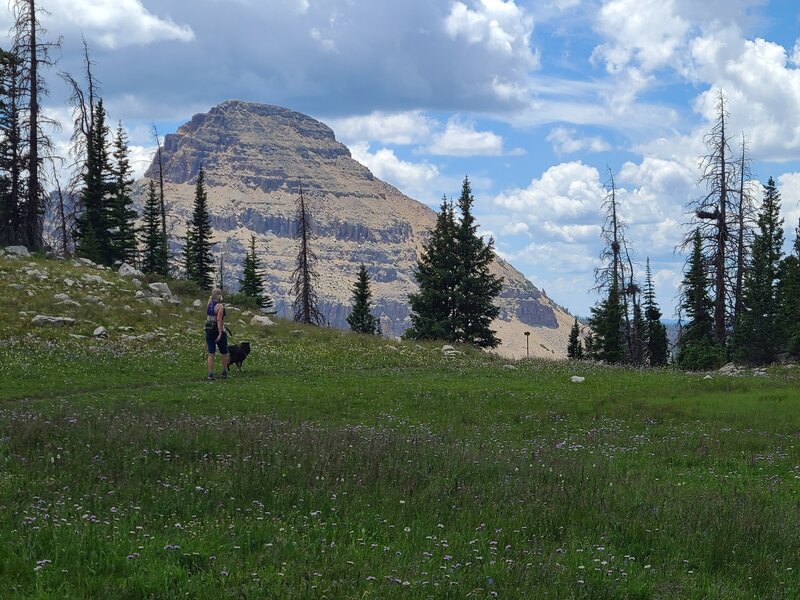 Lofty lake near  Kamas lake Reids peak in the background.