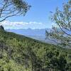 View of Mt. Sneffels.