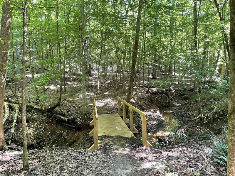 One of many footbridges along the trail.