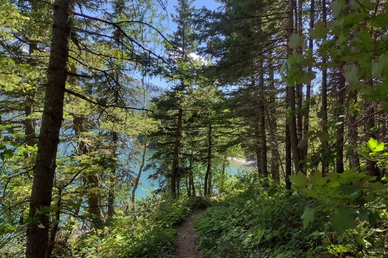 Beautiful Upper Waterton Lake is seen through the forest along Lakeshore Trail.