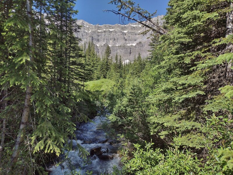 Dutch Creek headwaters below the Great Divide, the ridge line of the rock wall in the background.