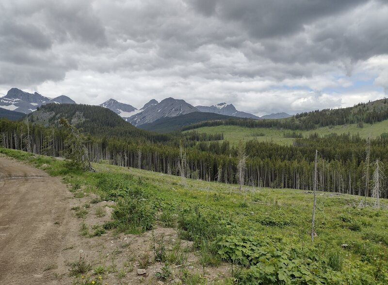 With rugged mountains as the backdrop, the fire road style trail runs through meadows and forested hills near Coleman.