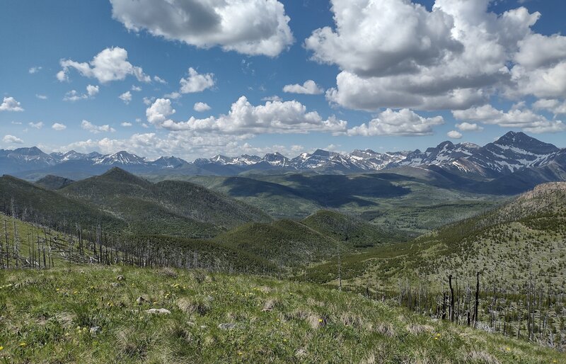 A panorama of snowy mountains and nearer forested hills unfolds to the west when hiking Willoughby Ridge.