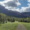 Looking up at Barnaby Ridge to the east and southeast from West Castle Valley Trail.