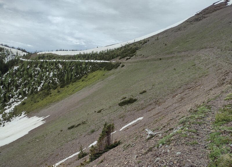 The path from La Coulotte Ridge down to West Castle Valley Trail.