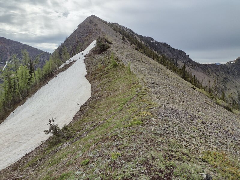 Heading up Peak #5 from the west (SOBO). Sunkist Ridge veers off to the right - do not turn onto it, continue stratight to Peak #4 and La Coulotte Peak (Peak #3) both hidden behind Peak #5 here.