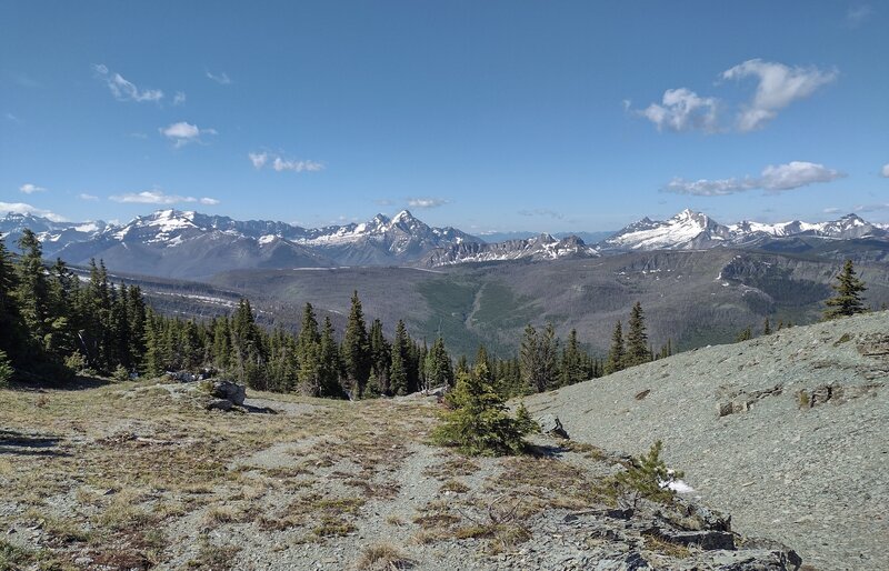 Sage Creek headwaters are in the valley below with gorgeous snowy peaks in the distance.  Seen looking southwest from high on the Great Divide on a perfect July day.