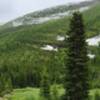 Meadows, creeks, and forested mountains that Twin lakes Trail travels through.