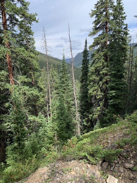 Hiking above creek with vistas down into Keystone valley area.