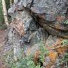 Lichen on rock