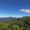 From Bally Mt Summit looking back towards Mt Warning.