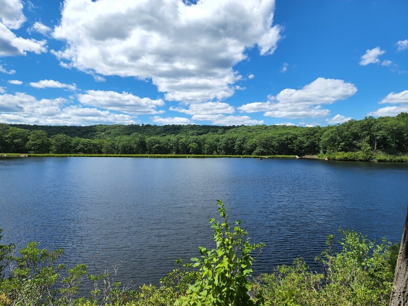 Lakeside view