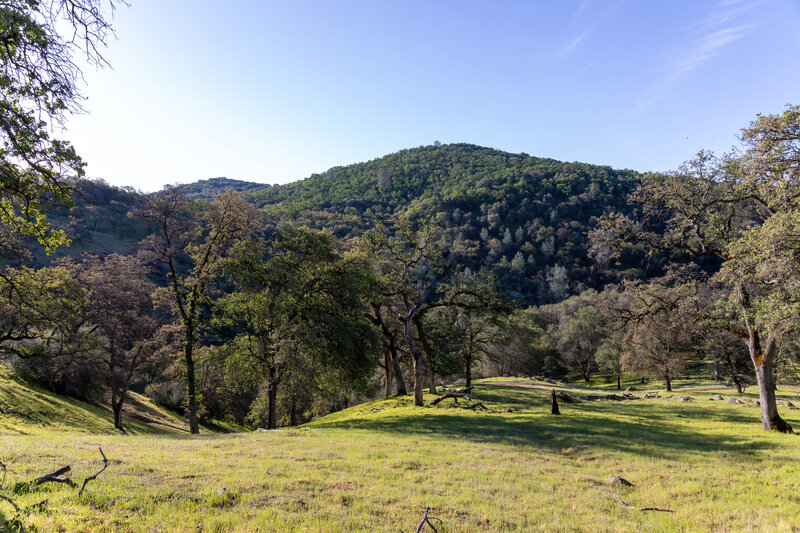 North side of Dry Creek