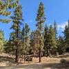 Wildhorse Creek Trailhead