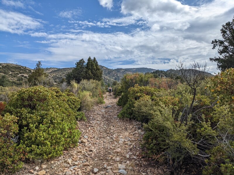 Exposed trail.  There is this short rocky section.