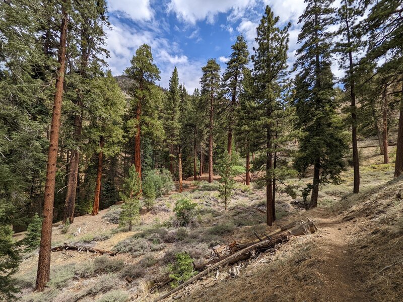 Approaching Wildhorse Camp, the destination.