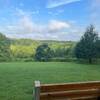 View over the trees from a bench