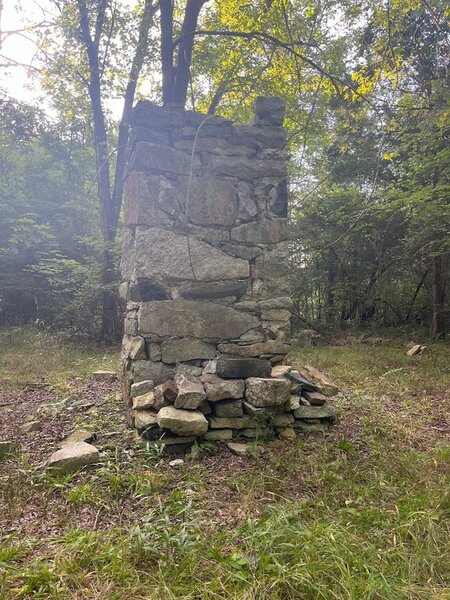 Ruins of a Chimney in a small clearing.