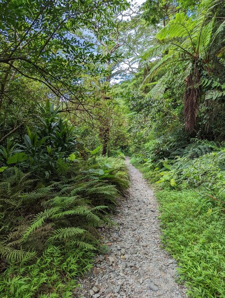 Fukugawa Falls Trail.