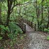 Bridge crossing the river along the Fukugawa Falls Trail.