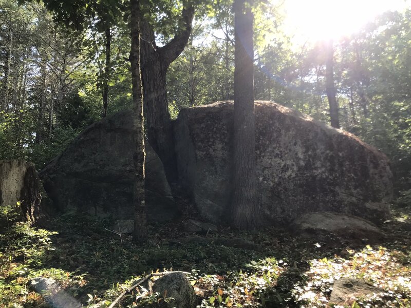 A stone cloven in twain by the mighty Maple.