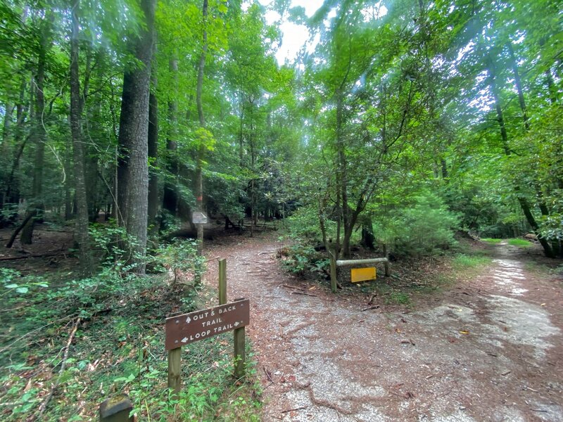 The loop connects with the Out and Back Trail.