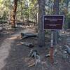 Entrance to Rusty Buckle Trail from Borderline Trail (Staunton Eastside Loop).