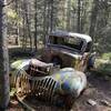 I'd love to know the story about this car and how it ended up to be in the middle of a forest!