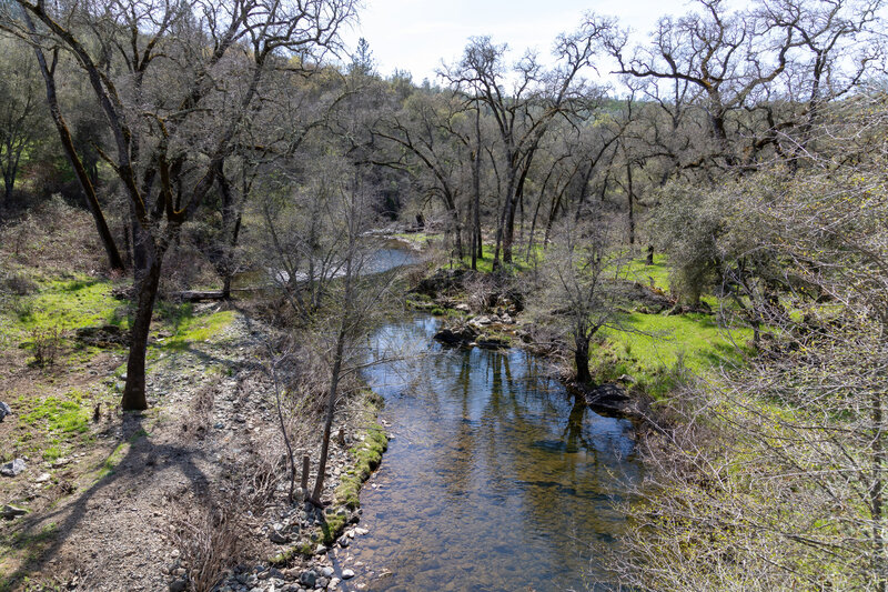 Raccoon Creek from the South Legacy Way Bridge.