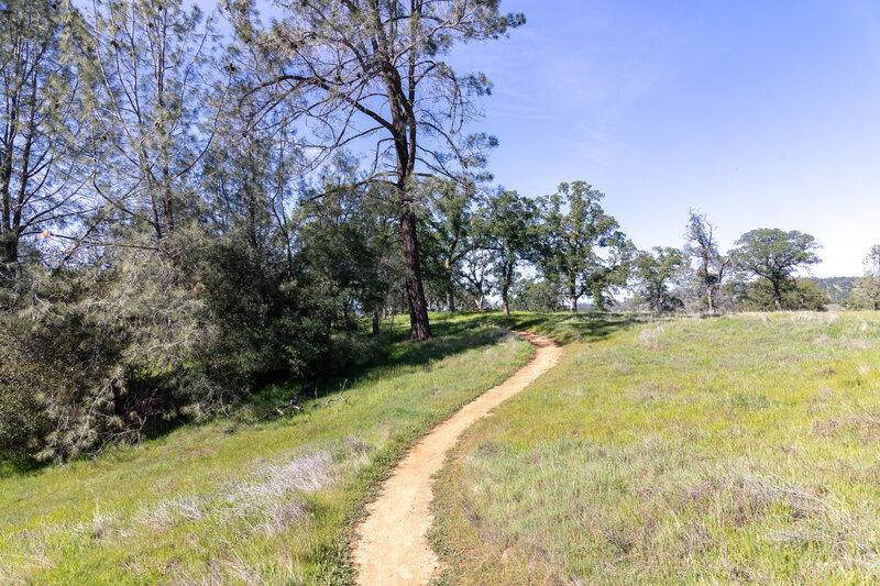 Approaching the picnic area on the Golden Eagle Loop.