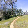 Approaching the picnic area on the Golden Eagle Loop.