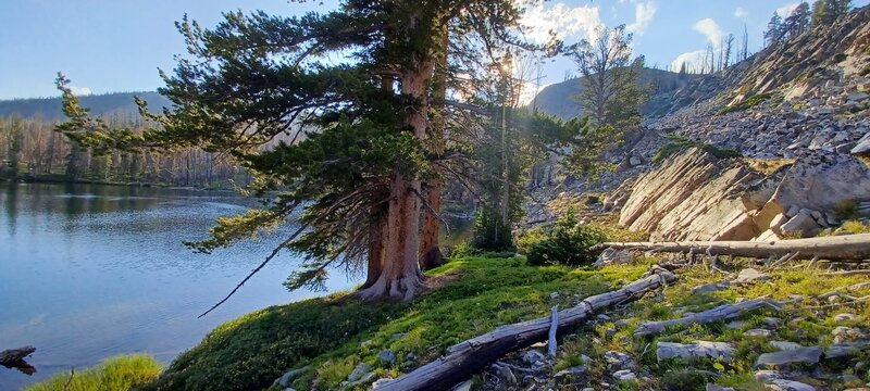 One of the many Hat Creek Lakes.