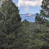 Wheeler Peak.