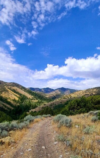 Looking towards Old Tom and Scout Mountain.