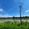 Johnson Slough.