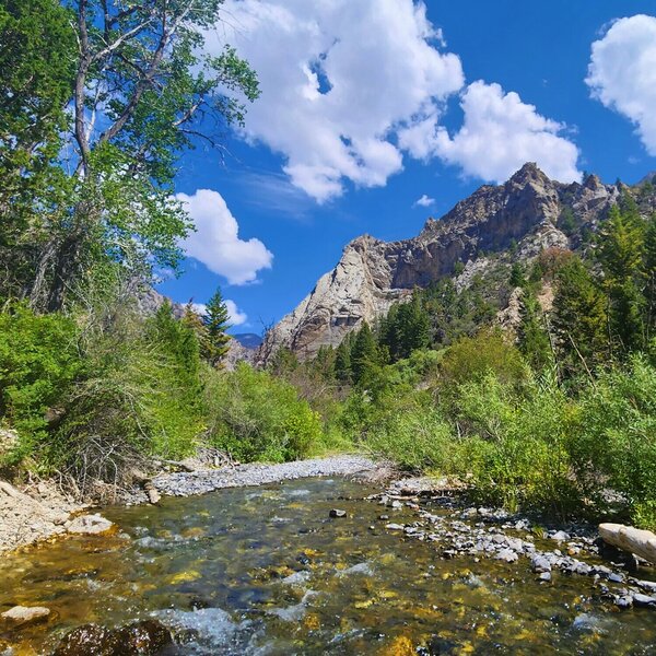 View from the trail.