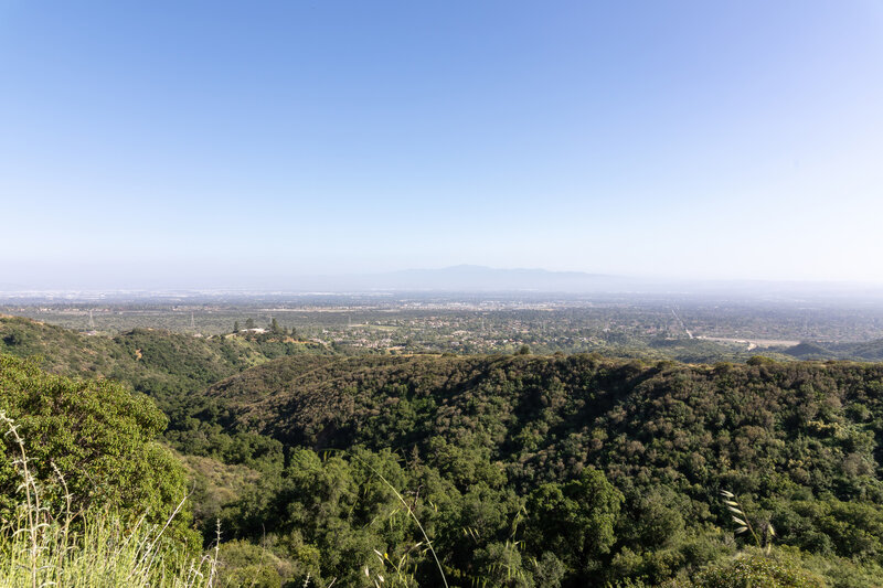 Claremont from Palmer Evey Motorway.