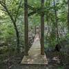 One of the suspension bridges on the Blue Star trail in the Anne Springs Close Greenway.