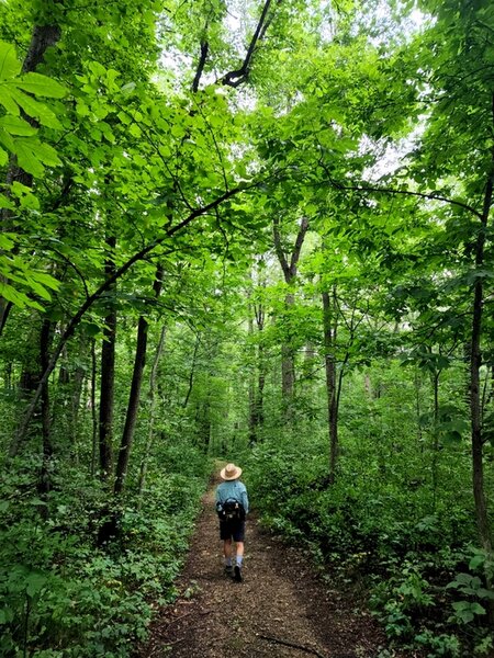 On the trail not far from the parking lot.