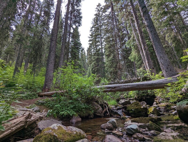 Creek crossing.