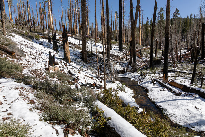 Cottonwood Creek