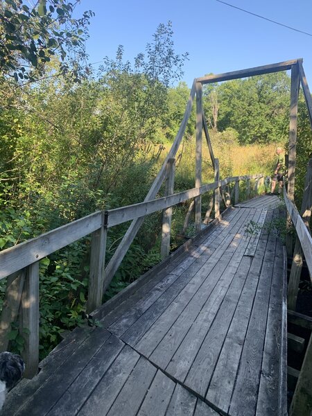 Creek crossing / boardwalk.