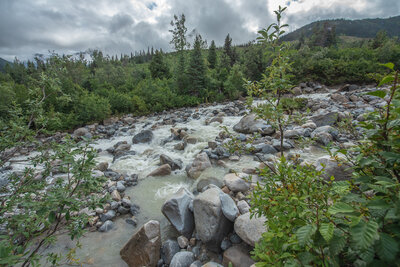 Rock moraine along Laughton Glacier trail.