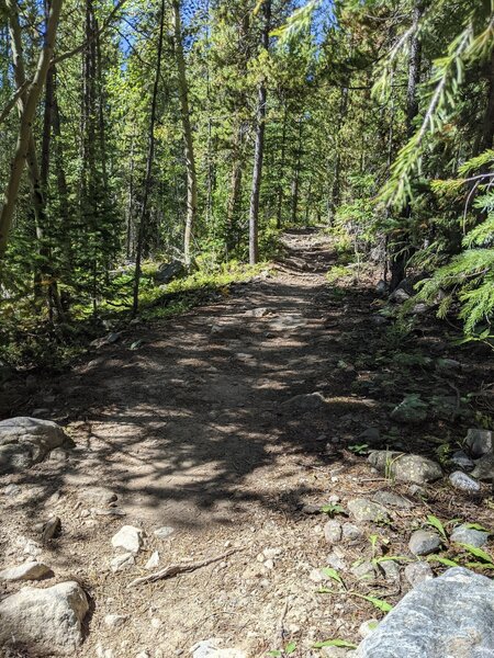 Burro Trail Ascent.