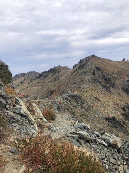 About 1.8 miles in the trail becomes exposed for great views.