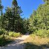 Sandy section of trail through dunes.