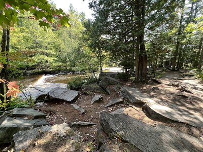 Trail along river bank