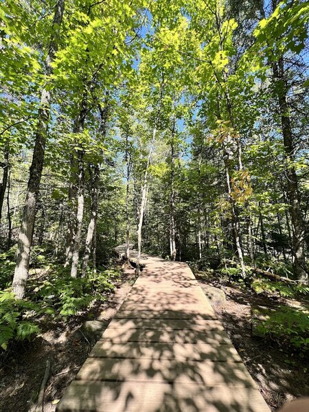 Boardwalk trail